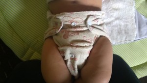 WP_20150518_17_41_04_Pro